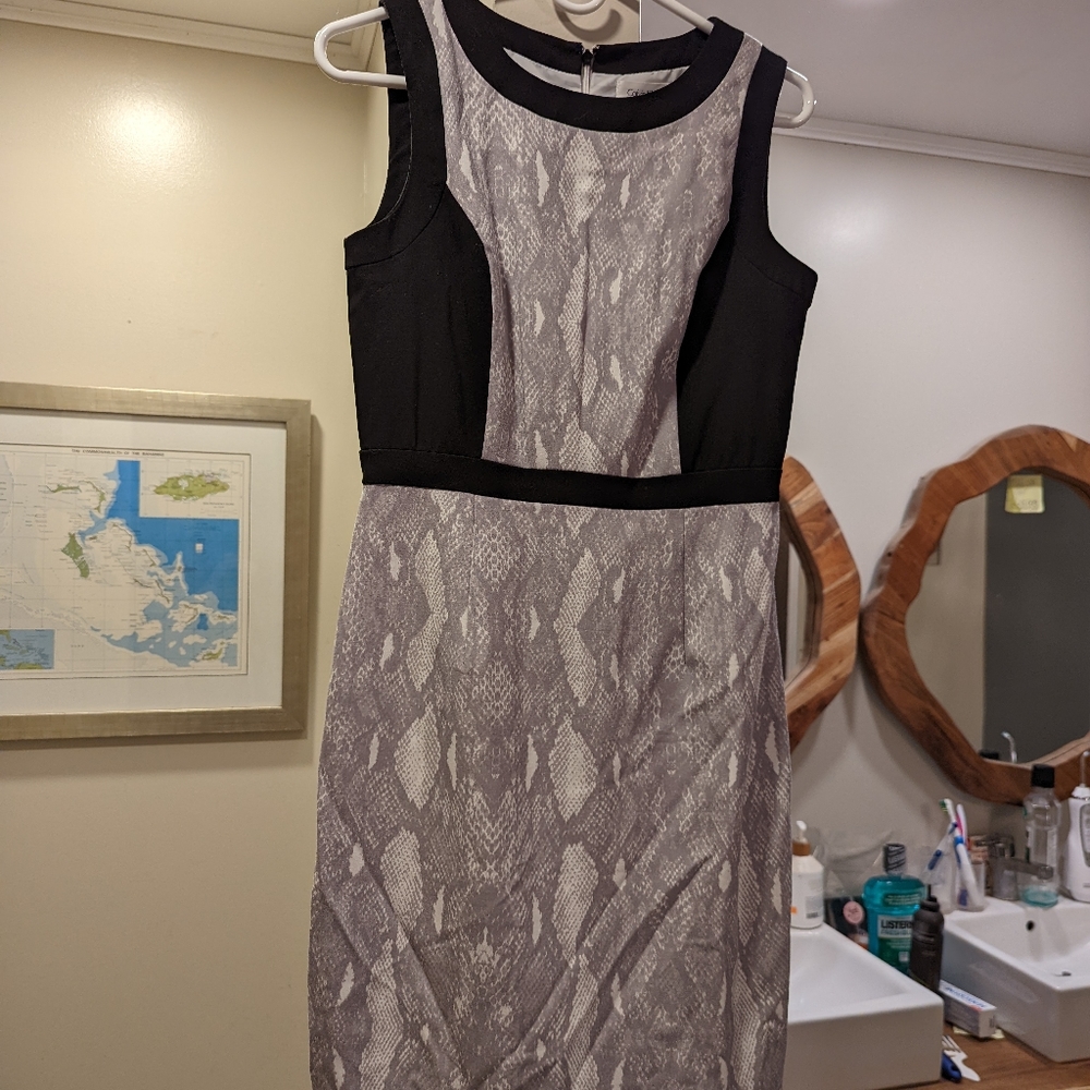 Calvin Klein size 4 dress